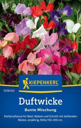 Kiepenkerl duftwickensamen - kiepenkerl,