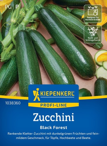 Kletter zucchini black - ,