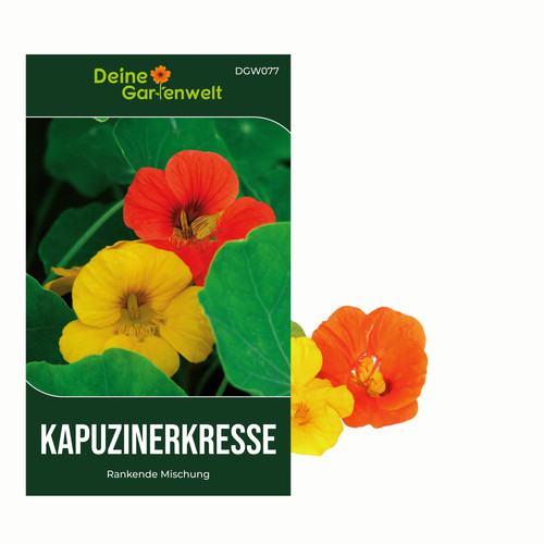Kapuzinerkresse rankende - kapuzinerkresse,