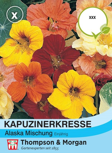 Kapuzinerkresse alaska - kapuzinerkresse,