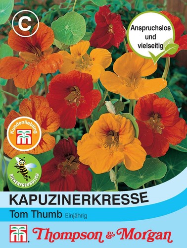 Kapuzinerkresse tom thumb - kapuzinerkresse,