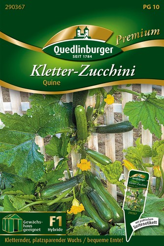 Quedlinburger kletter zucchini - quedlinburger, kletter-zucchini