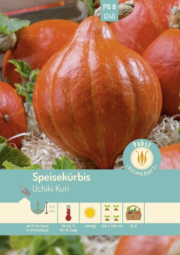Speisekürbis nussig rankend - &,