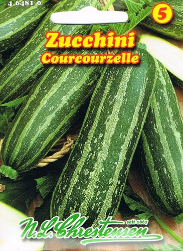 Zucchini coucourzelle grün - 'coucourzelle',