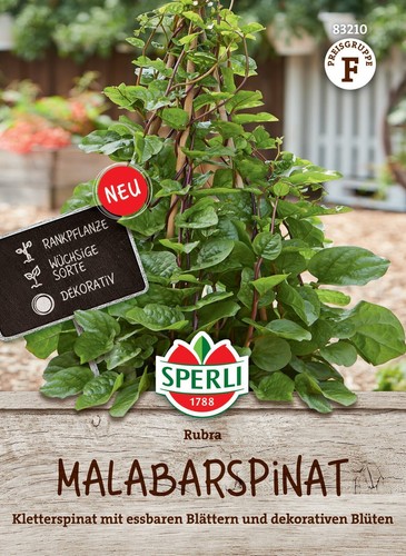 Malabarspinat rubra - malabarspinat,