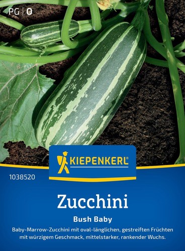Kiepenkerl zucchinisamen bush - zucchinisamen,