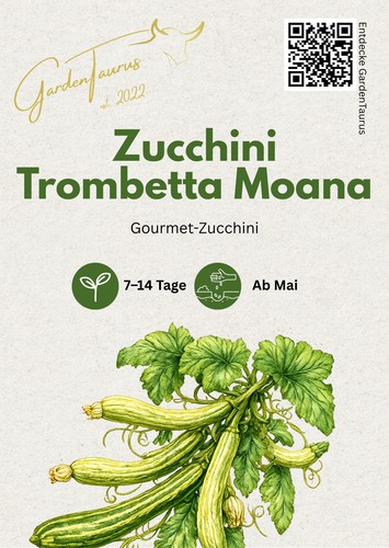 Zucchini trombetta moana - zucchini, ‘trombetta