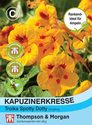 Kapuzinerkresse troika spotty - kapuzinerkresse, 'troika