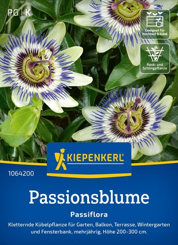 Kiepenkerl passionsblume - kiepenkerl,