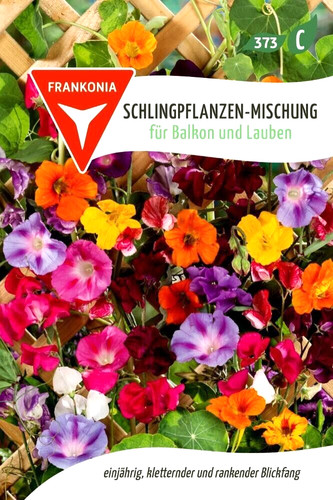 Schlingpflanzen mischung - schlingpflanzen,