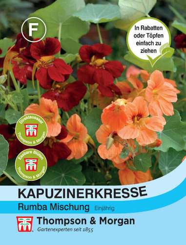 Kapuzinerkresse rumba - kapuzinerkresse, 'rumba