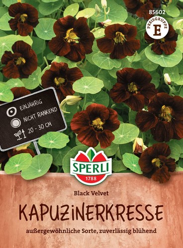 Kapuzinerkresse black velvet - kapuzinerkresse, 'black
