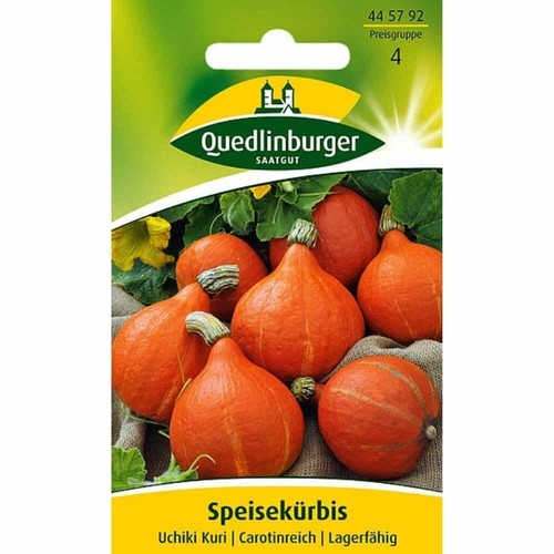 Speisekürbis uchiki kuri - uchiki,