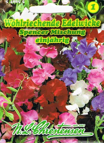 Edelwicke spencer mischung - spencer,