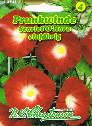 Prunkwinde scarlet hara - 'scarlet, o'hara