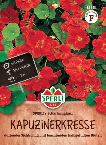 Kapuzinerkresse