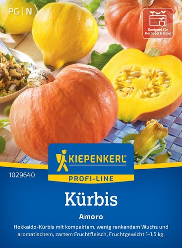 Kürbis amoro hokkaido - kürbis,