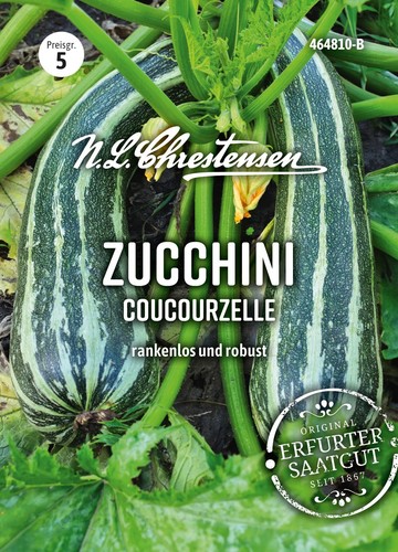 Zucchini coucourzelle grün - zucchini, 'coucourzelle'